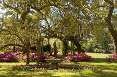 Airlie Gardens