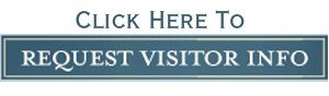 request-visitor-info2