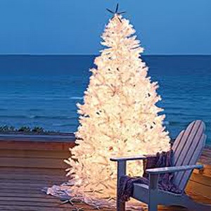 Myrtle Beach Christmas Events