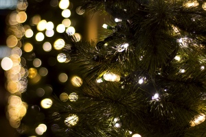 Greenfield-Lake-Tree-Lighting-and-Holiday-Movie